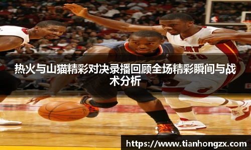 热火与山猫精彩对决录播回顾全场精彩瞬间与战术分析